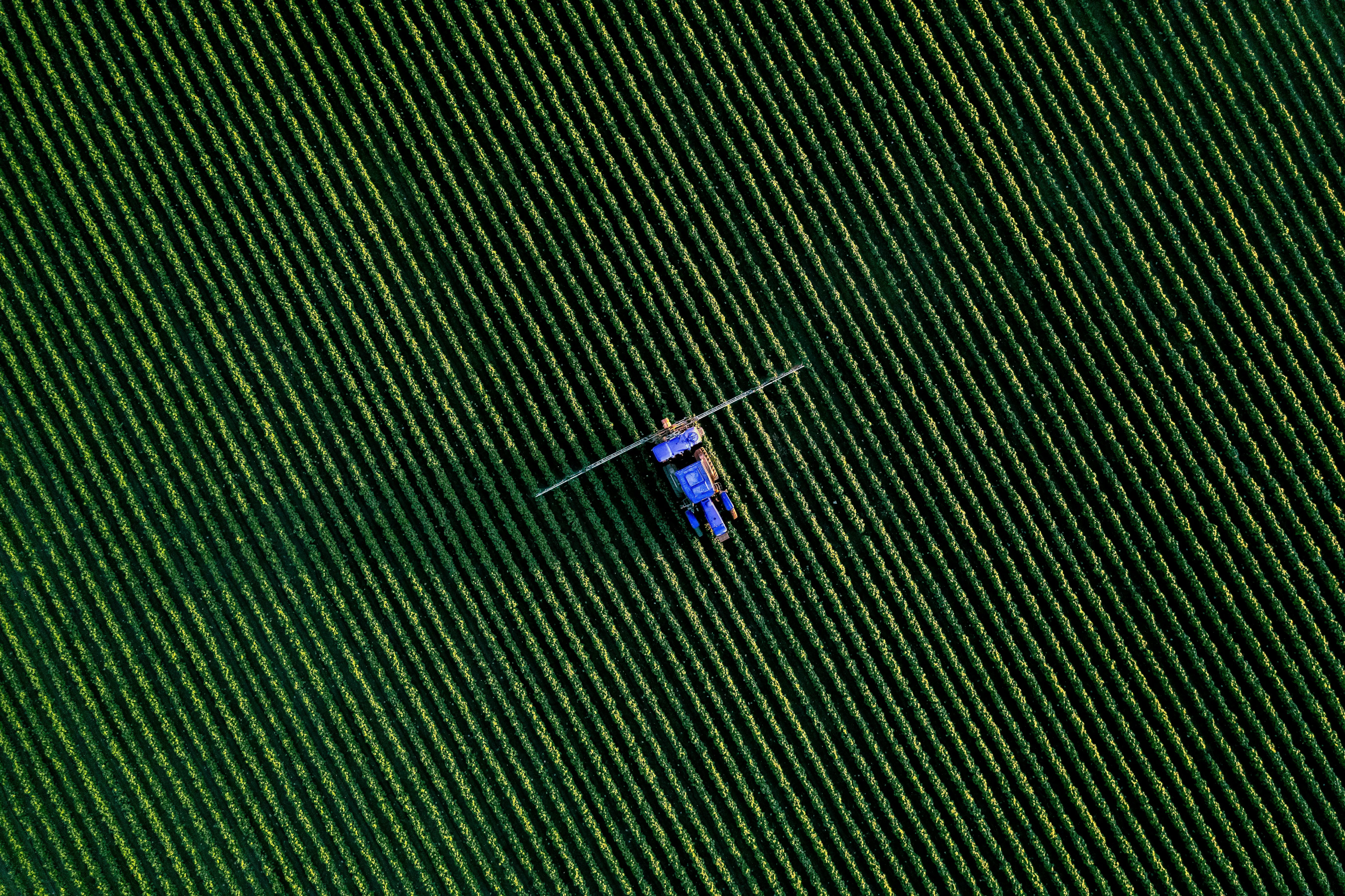 The most contaminated crops based on most recent USDA data contaisn two or more pesticides.