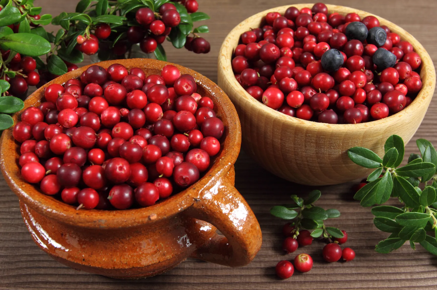 Cranberries can offer not only tasty snack, but they provide a world of nutrients. 