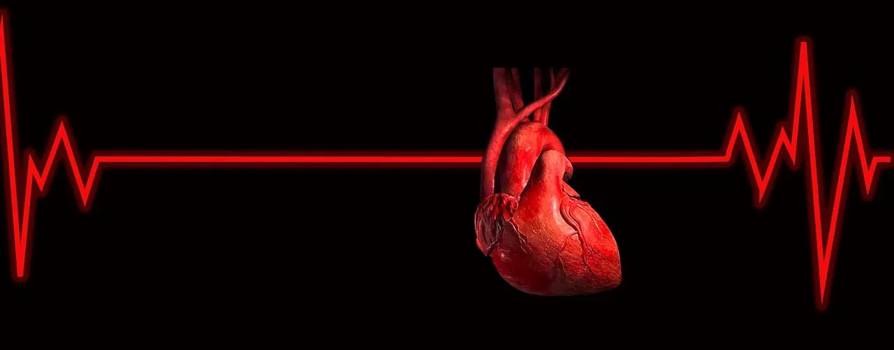 What stops blood pumping to the heart?