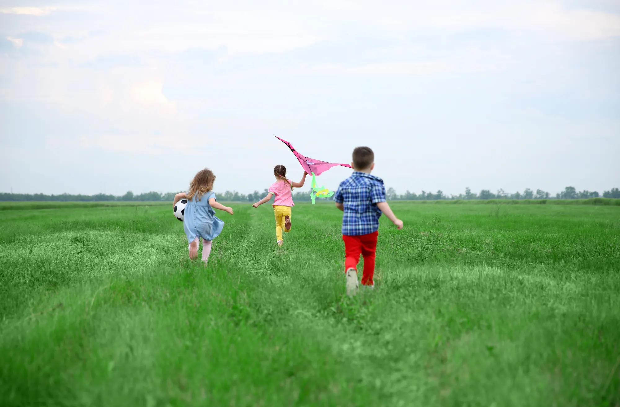 Reduce pesticides for better health.
