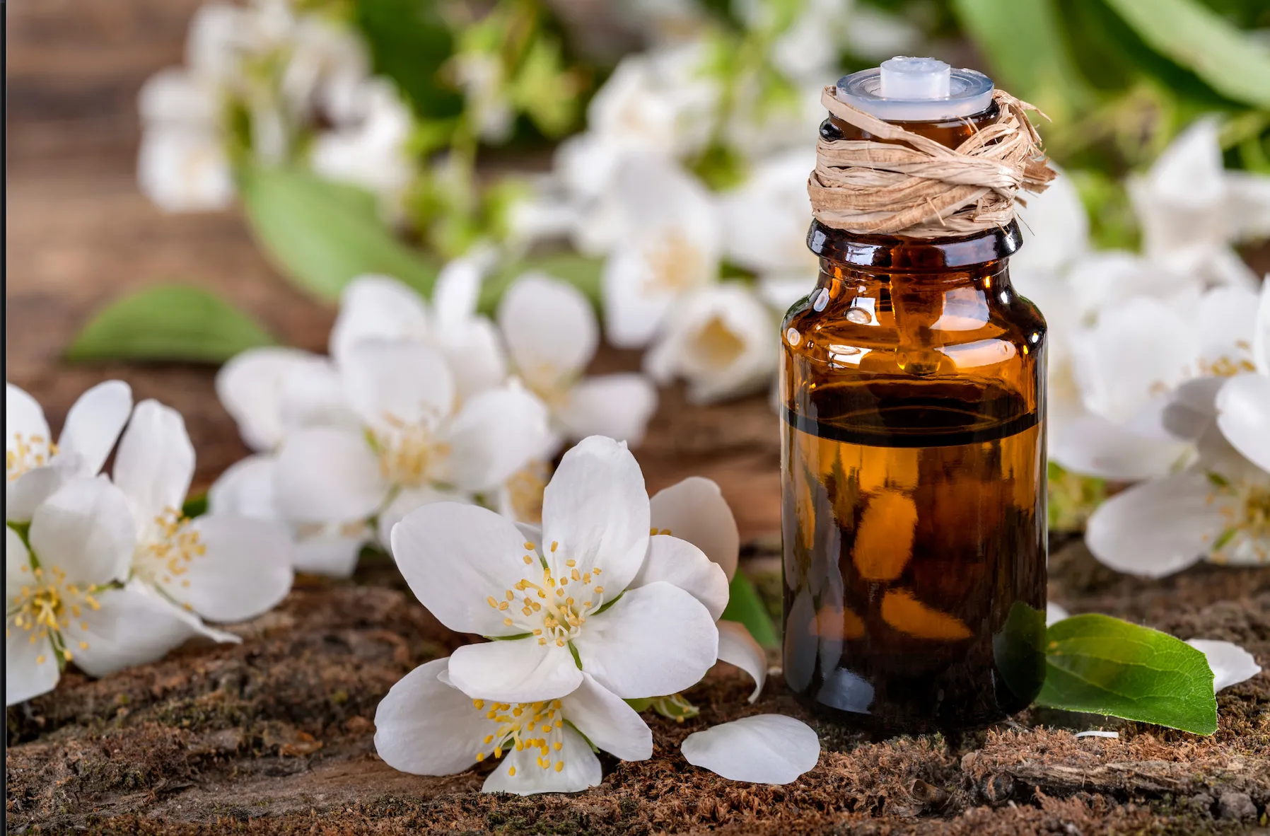 Jasmine oil helps to manage anxiety and depression. 