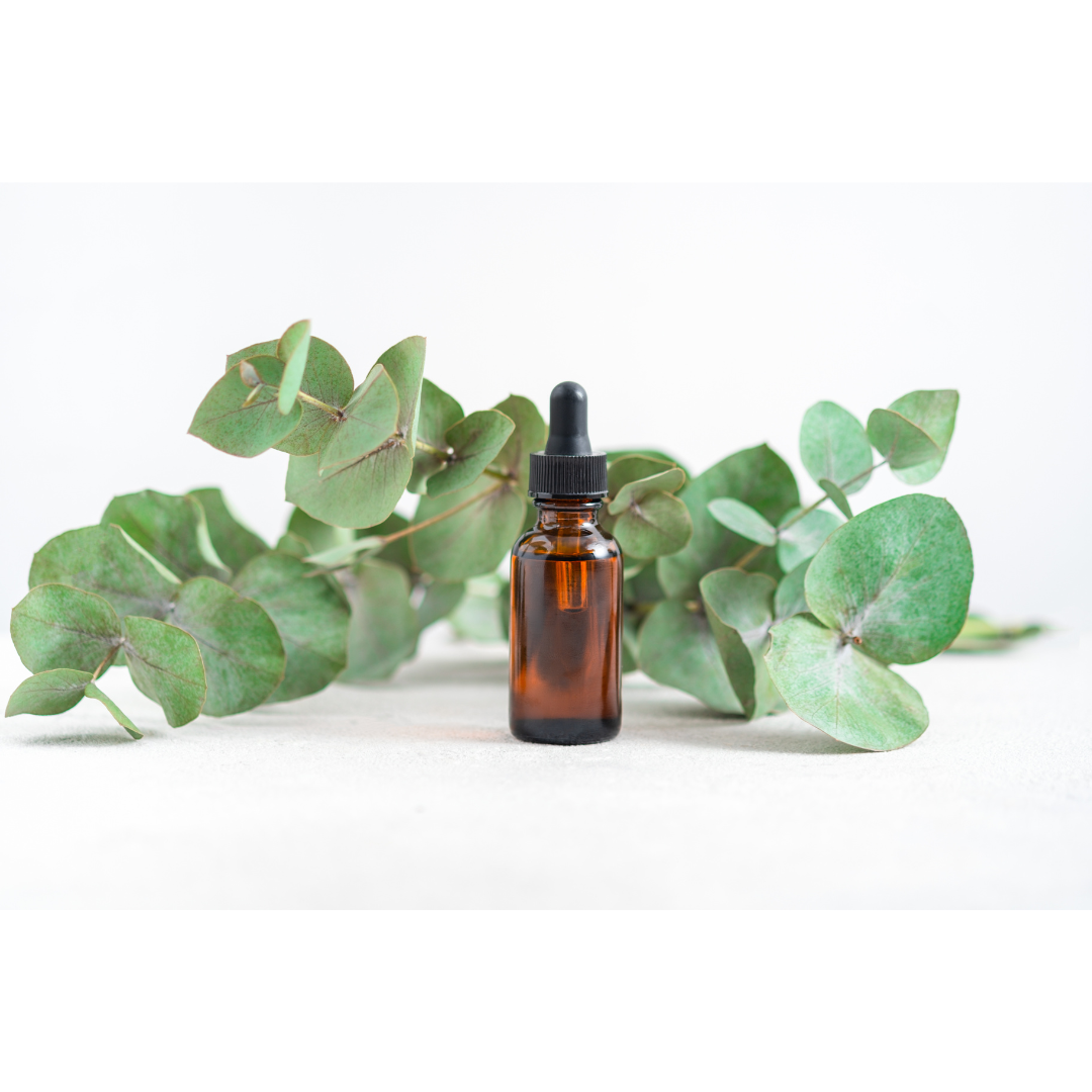 Eucalyptus essential oil is commonly used for cold or flu treatment in aromatic therapy.