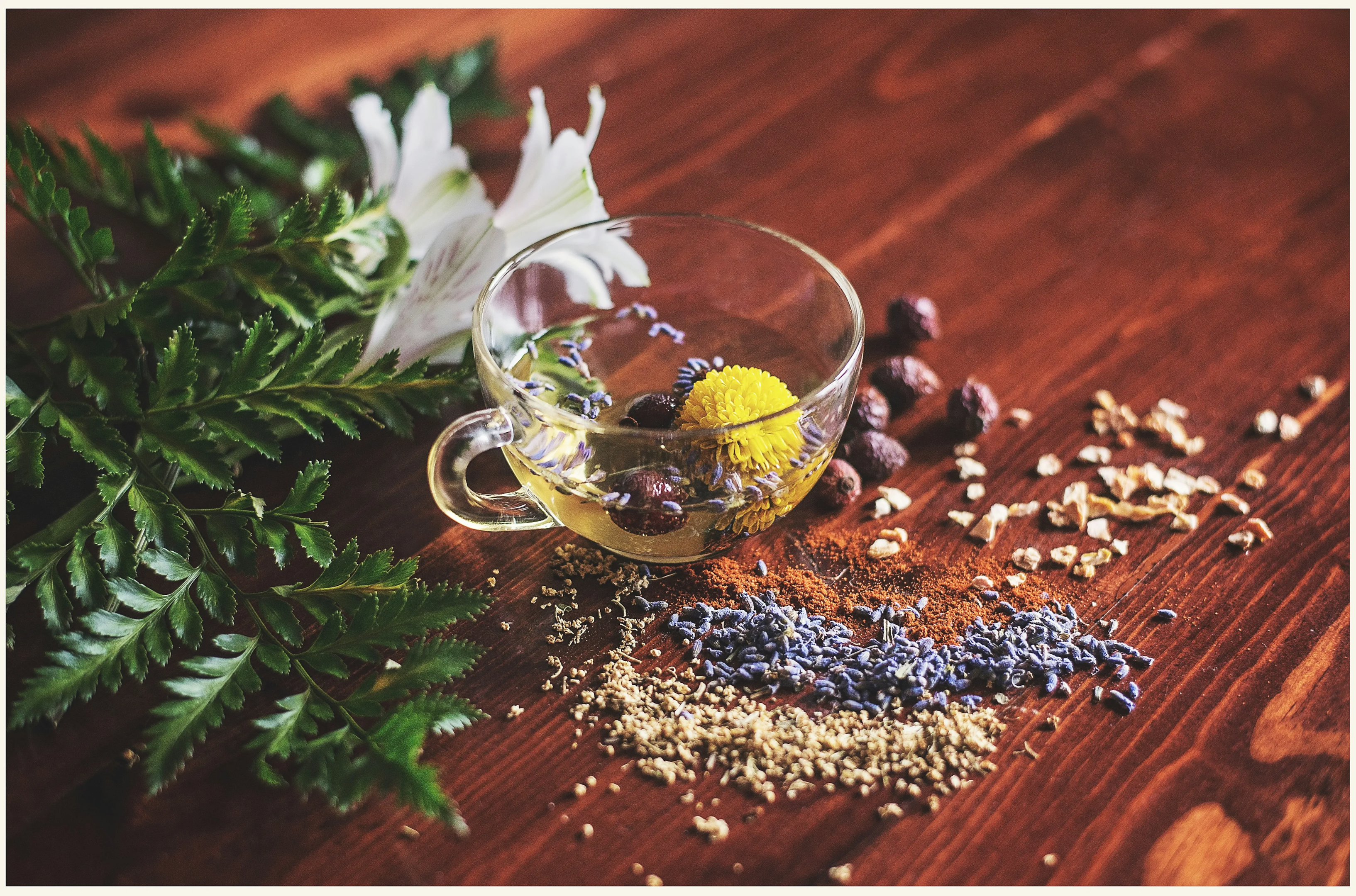 Digestive health starts with healthy plant foods.