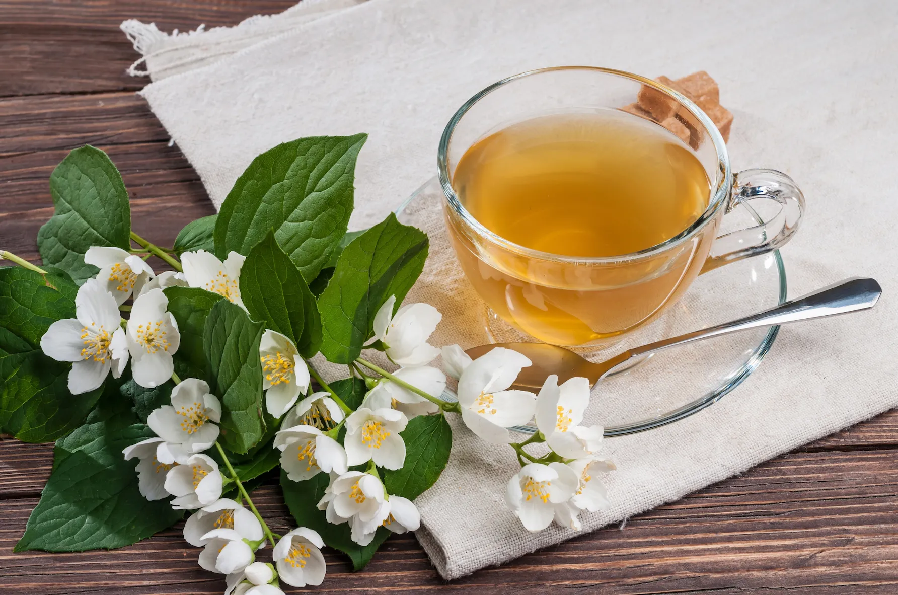 Knowing to to steep the most enjoying cup of tea can be helpful when trying different blends. 
