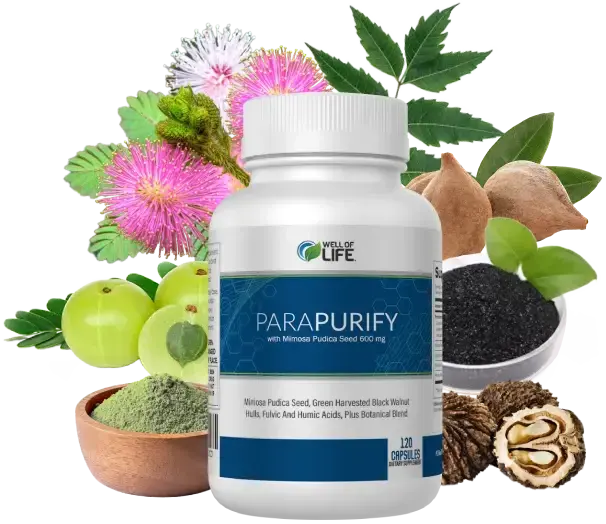 ParaPurify is an excellent supplement and one of out most popular!